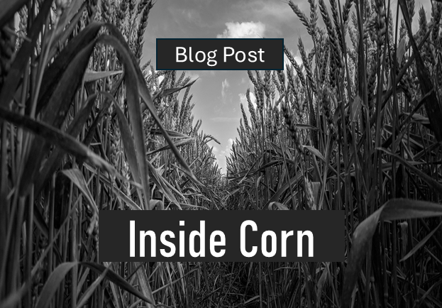 Inside Corn thumbnail2