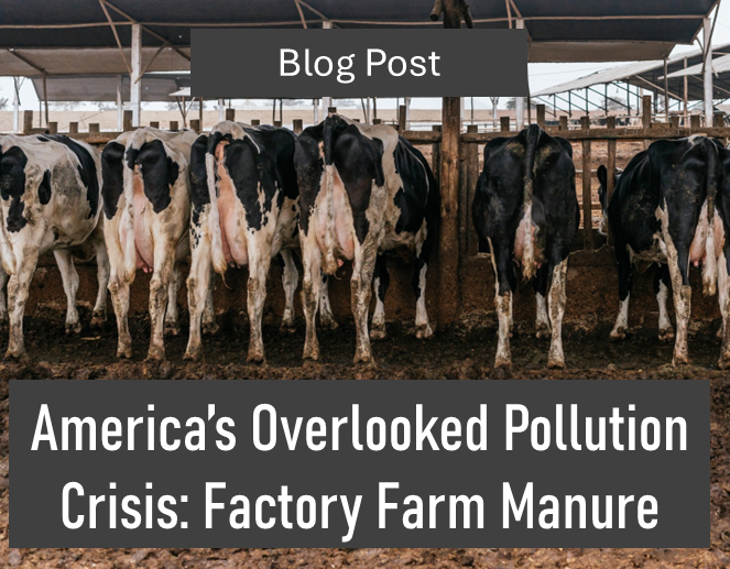 Manure insert