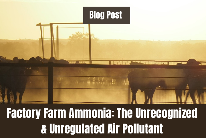 Ammonia insert